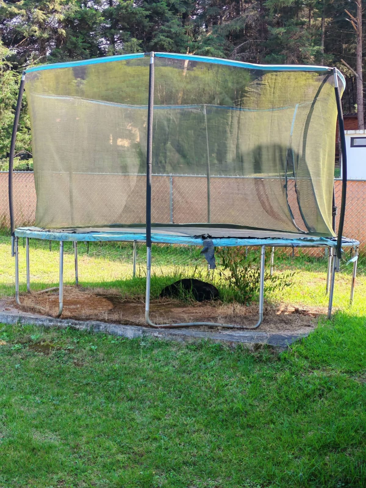 Entretenimiento Brincolín Infantil